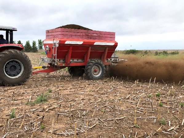 INTA Manfredi: Investigan cómo responde el maíz al compost